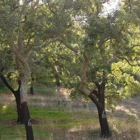 Maison De Campagneromantic House In Hills Of Algarve... Distretto di Faro