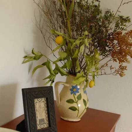 Maison De Campagneromantic House In Hills Of Algarve... *